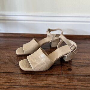 Everlane Block Heel Leather Sandal, Sand Lizard, Size 6